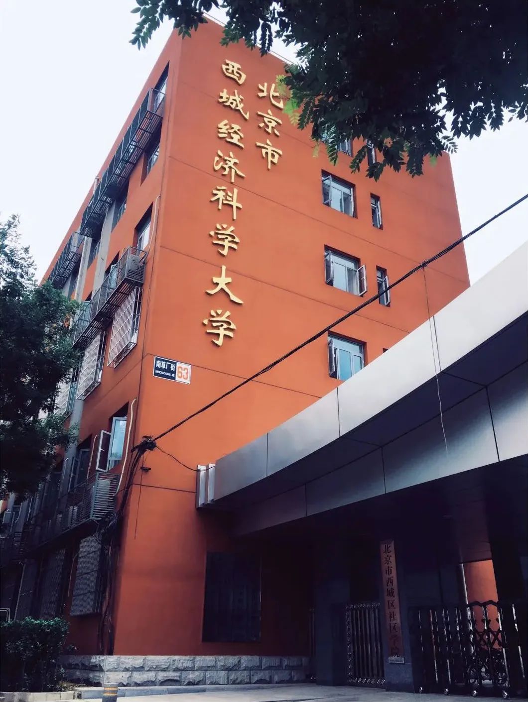 正规学历